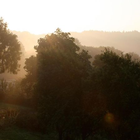 Apartmán Eifel Rebeige Gerolstein Kopp Exteriér fotografie