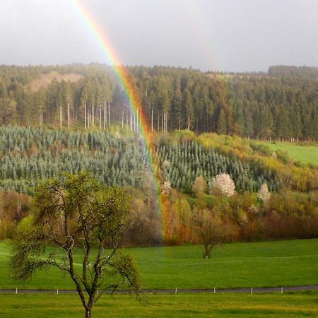 Apartmán Eifel Rebeige Gerolstein Kopp Exteriér fotografie