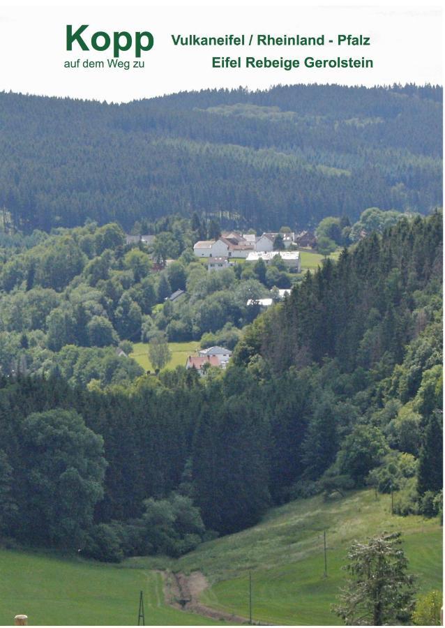 Apartmán Eifel Rebeige Gerolstein Kopp Exteriér fotografie