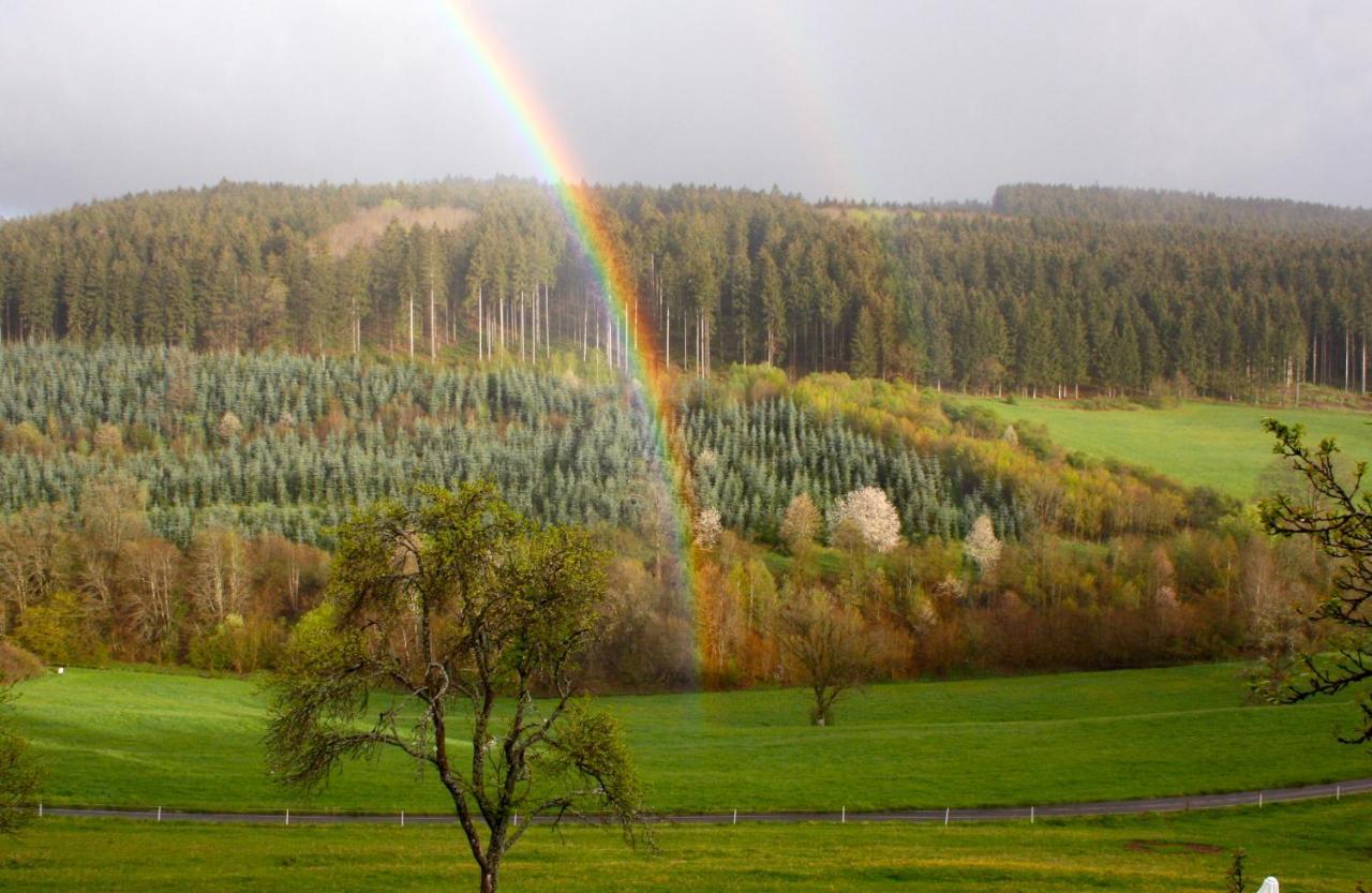 Apartmán Eifel Rebeige Gerolstein Kopp Exteriér fotografie